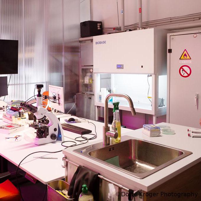 Curious Community Labs' laboratory